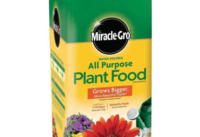 Best plant fertilizer for flowers