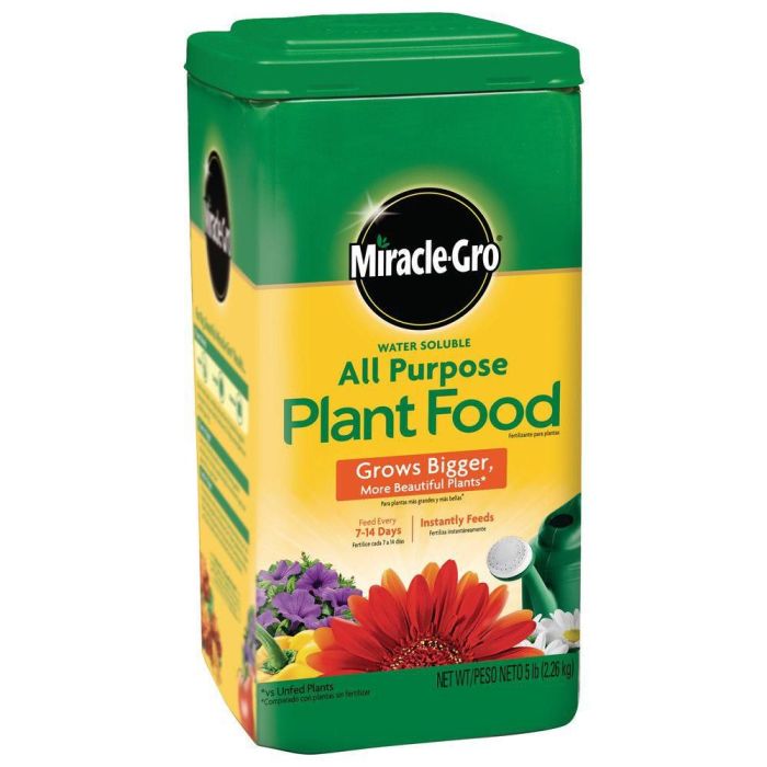 Best plant fertilizer for flowers